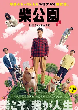 黄色三极
