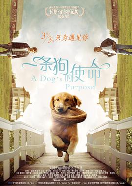成人伦理视频