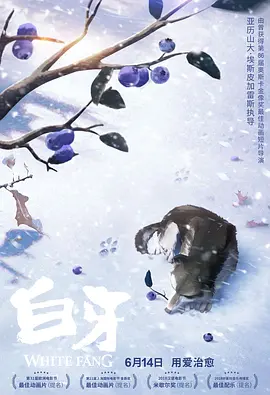 国产一区二区不卡在线