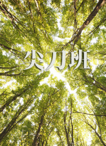 电视剧手机免费观看完整版