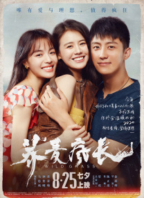 黄q视频在线播放