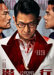 量子云视频资源