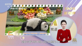 色婷婷久久一区二区三区麻豆